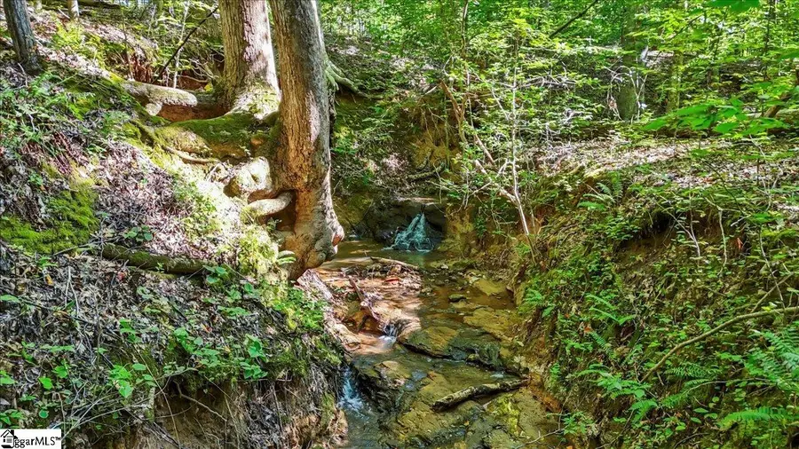 1443 Henderson Road, Gray Court, SC 29645 - #3