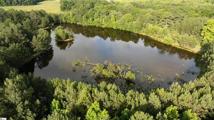 038 Crowder Road, Kinards, SC 29355 - Image #3