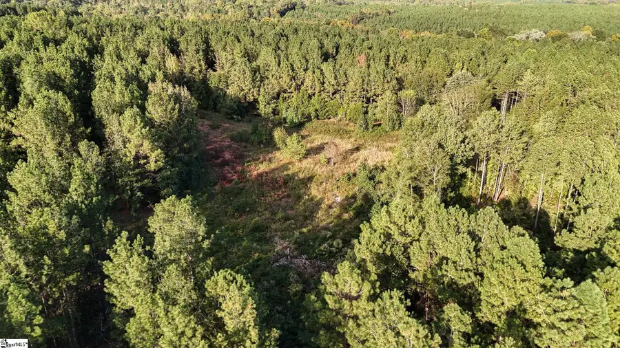 02 Jefferson Davis Road, Mountville, SC 29370 - Image #3