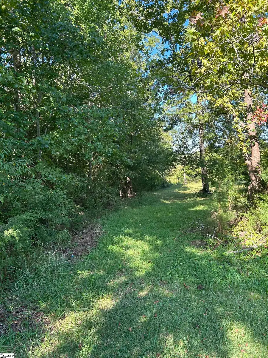 0 Sparkstown Drive, Enoree, SC 29335 - Image #2