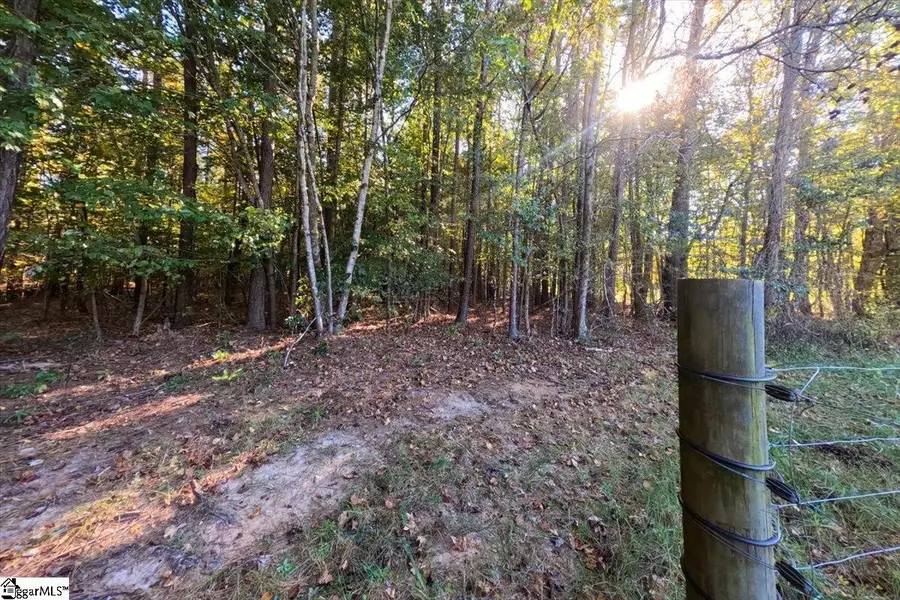 00 Poole Road, Clinton, SC 29325 - #2