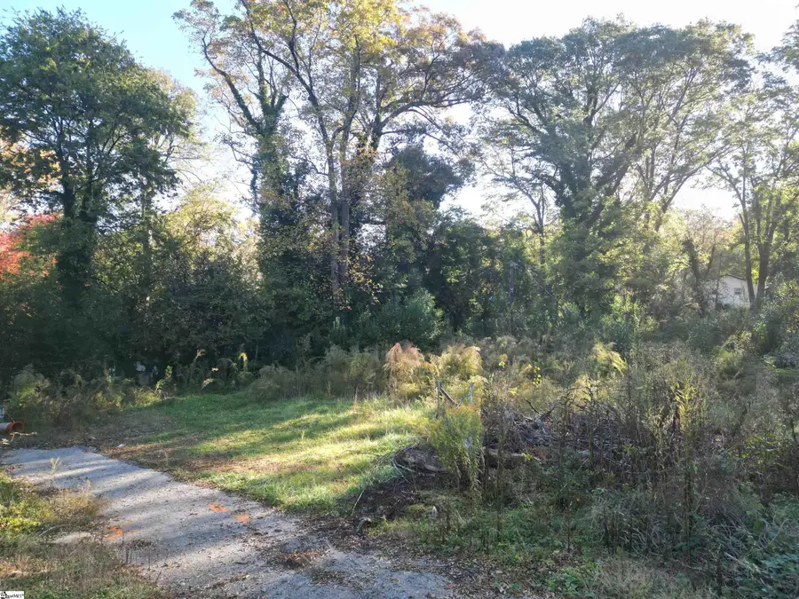 220 Rookard Court, Spartanburg, SC 29303 - Image #3