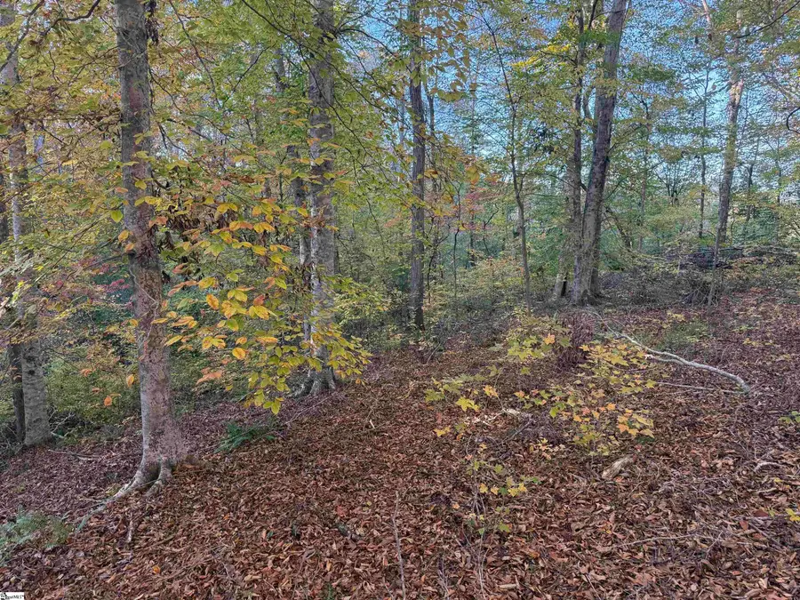 247 Stallion Drive, Honea Path, SC 29654 - Image #2