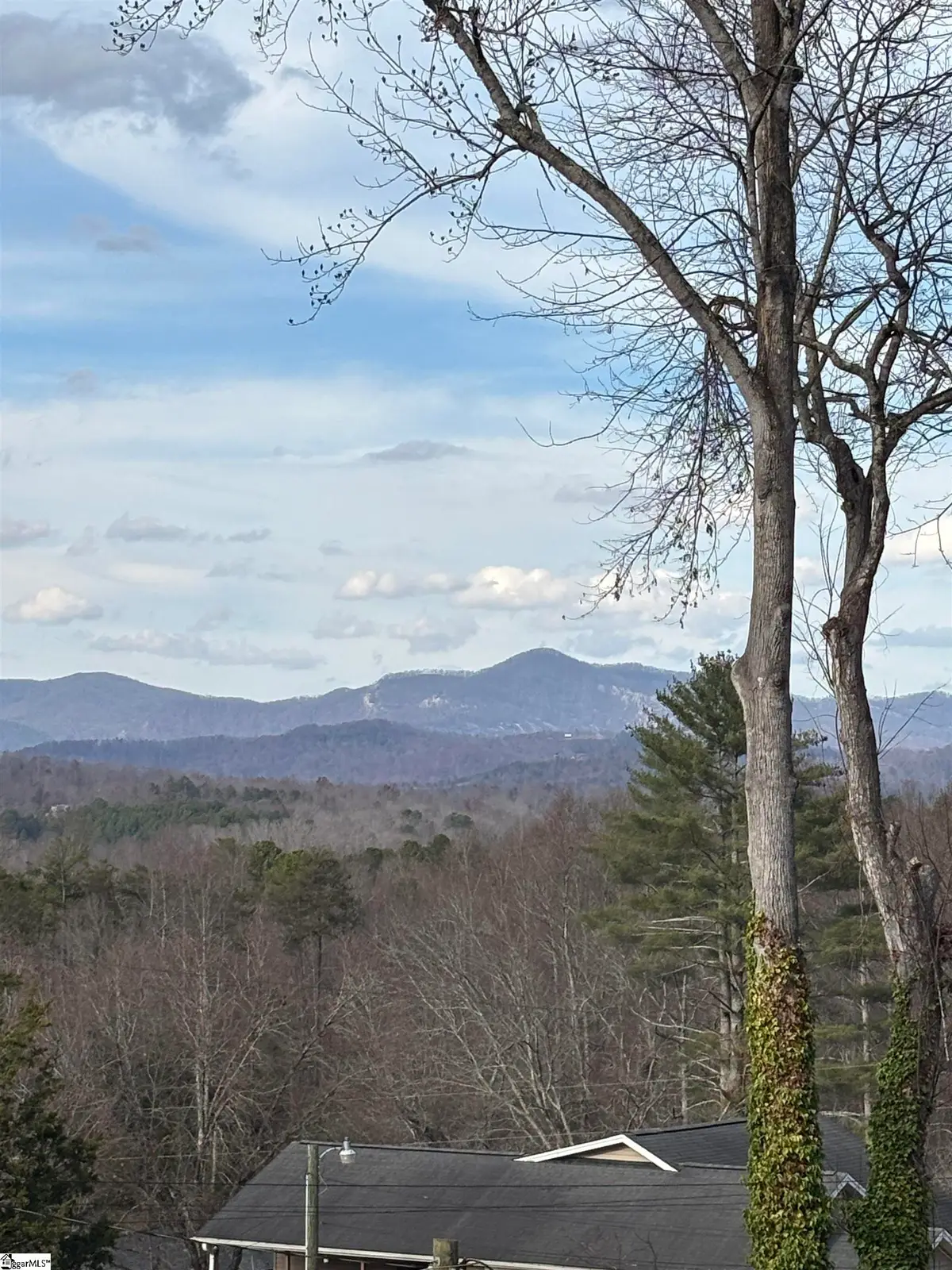 163 Red Hill Road, Pickens, SC 29671 - Image #1