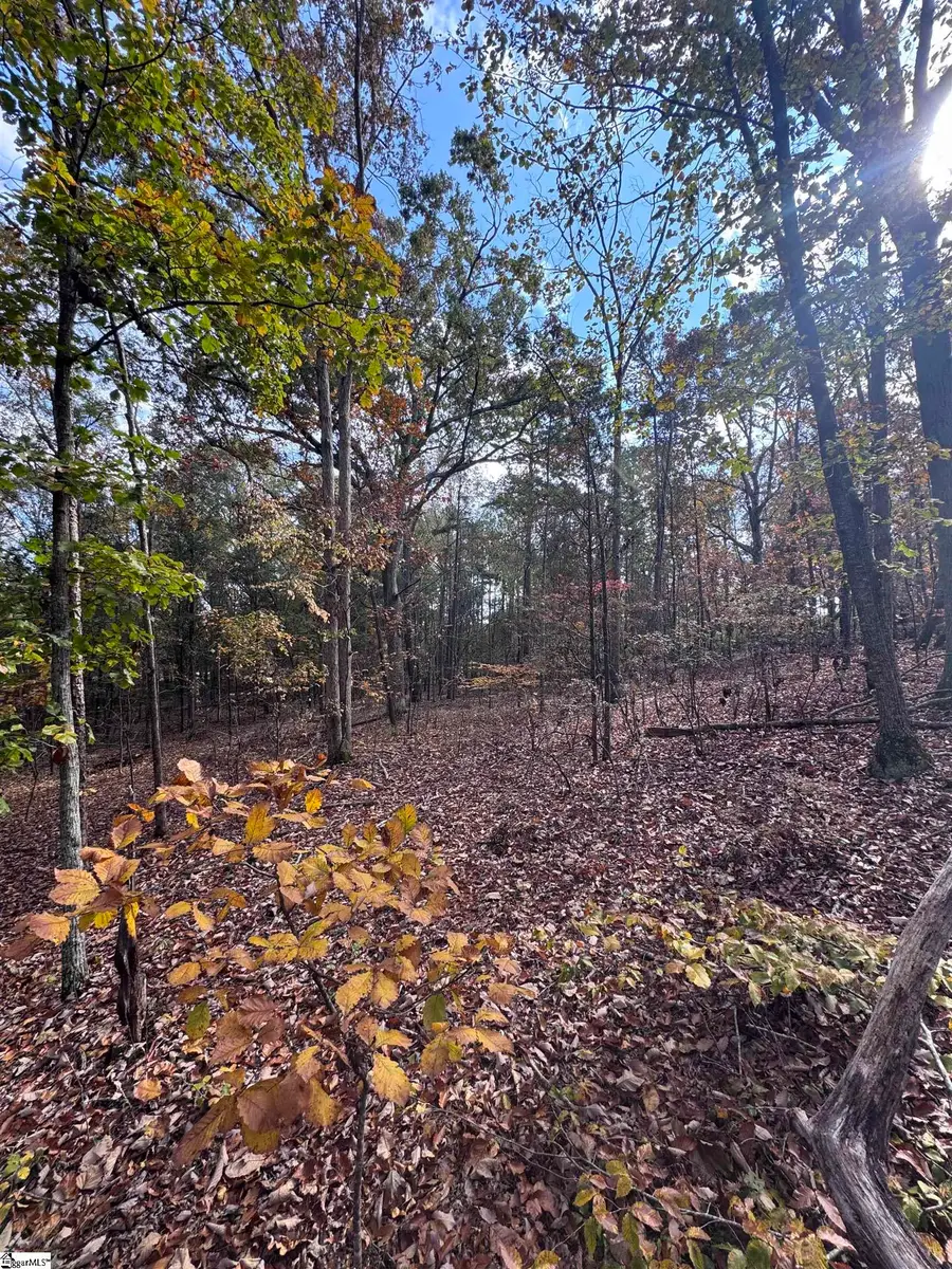 13250 W 76 Highway, Gray Court, SC 29645 - Image #3