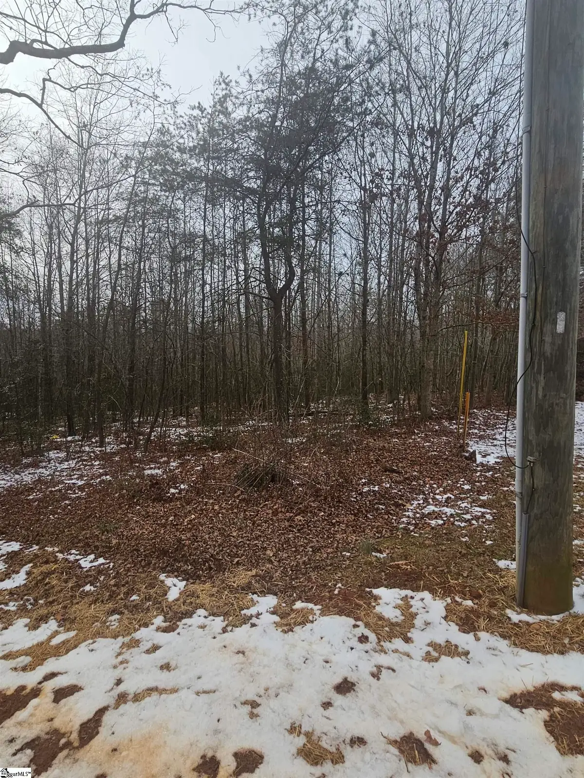 00 Chandler Road, Easley, SC 29640 - #1