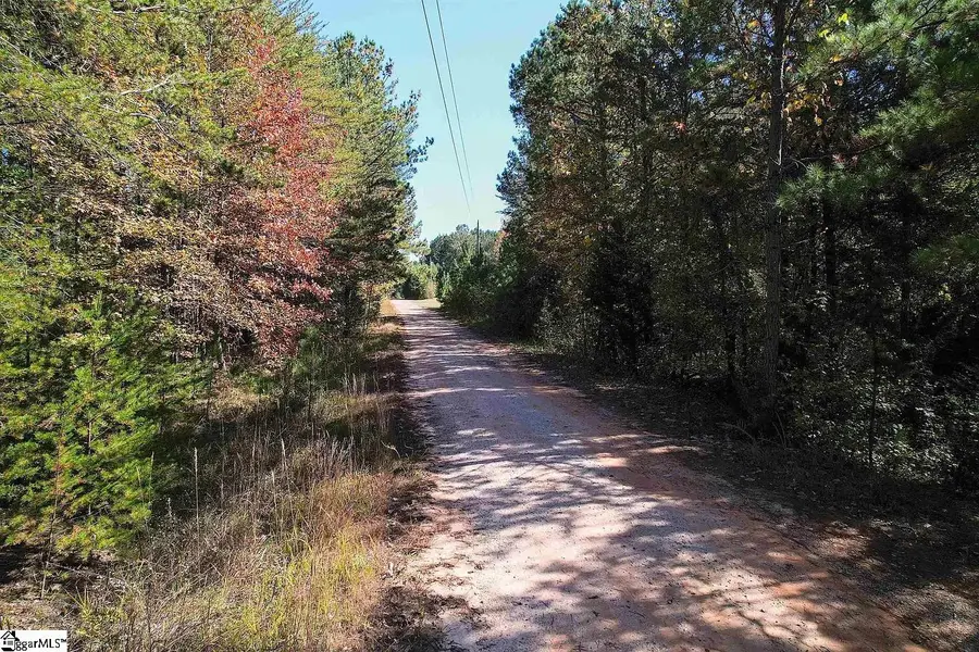 1206 Cheek Circle, Gray Court, SC 29645 - #2