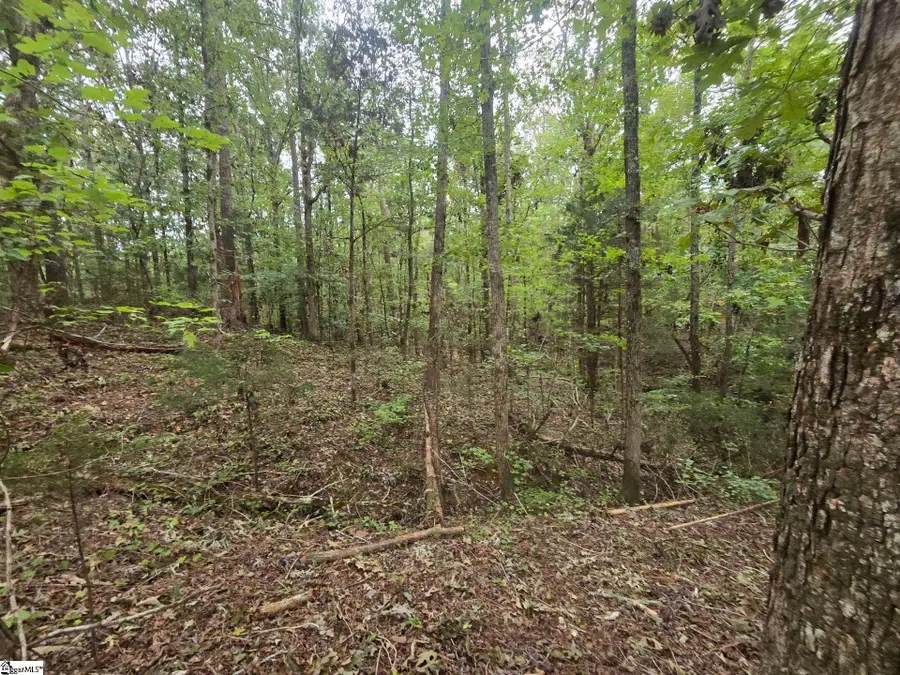 1206 Cheek Circle, Gray Court, SC 29645 - #3