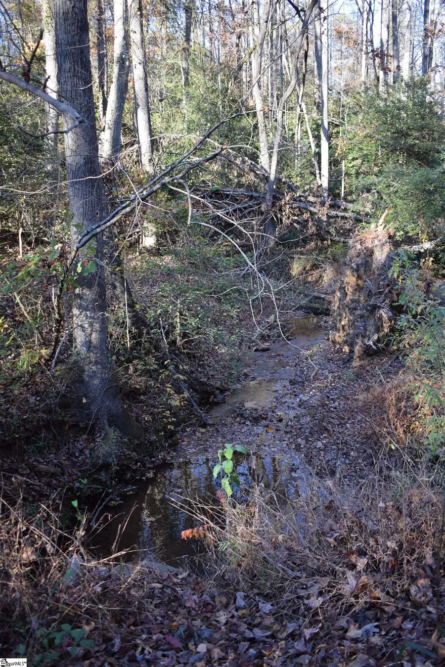 5231 Highway 11, Inman, SC 29349 - Image #3