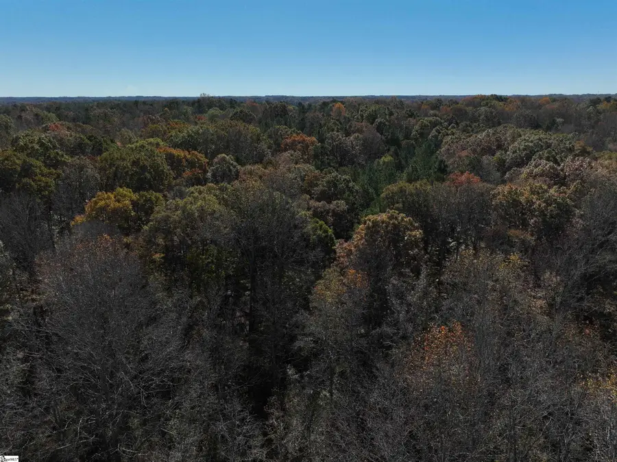 03 Blair Road, Laurens, SC 29630 - #3