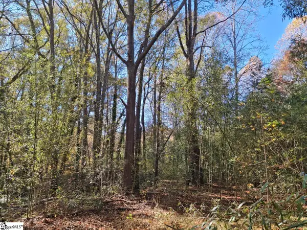 198 Black Snake Road, Easley, SC 29640