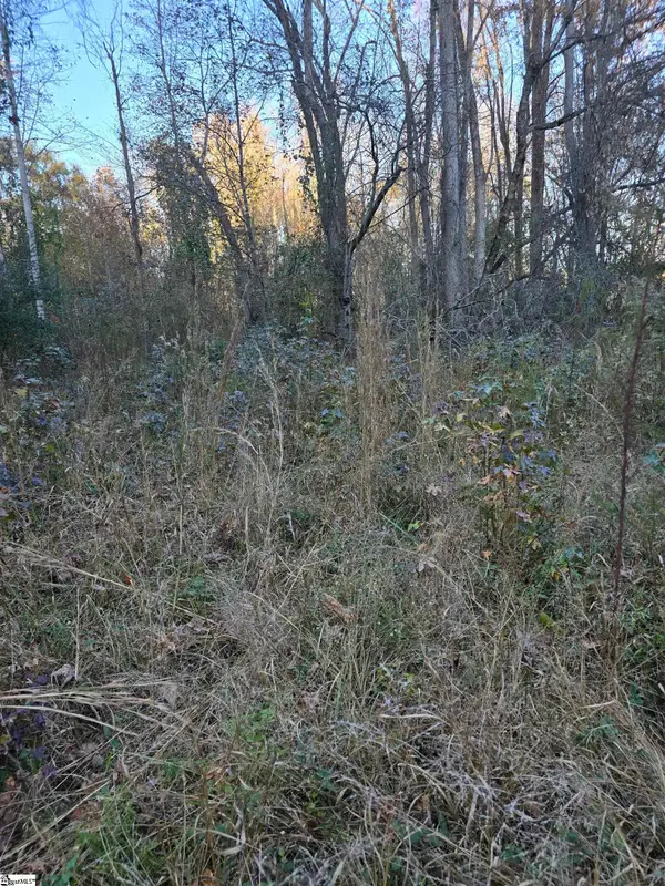 0 Graham Chapel Road, Cowpens, SC 29330