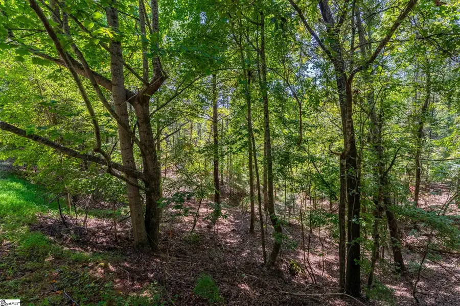 111 Sweetshrub Way, Sunset, SC 29685 - Image #2