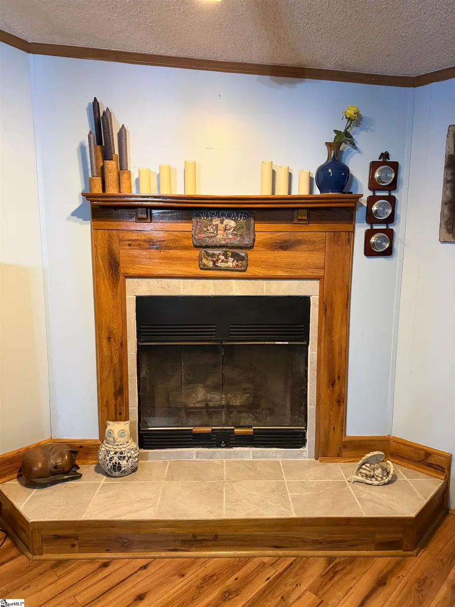 173 Payne Drive, Piedmont, SC 29673 - Image #3