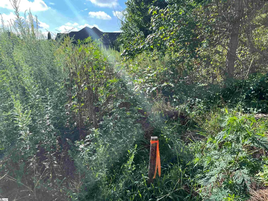 116 Gascony Drive, Greenville, SC 29609 - Image #3