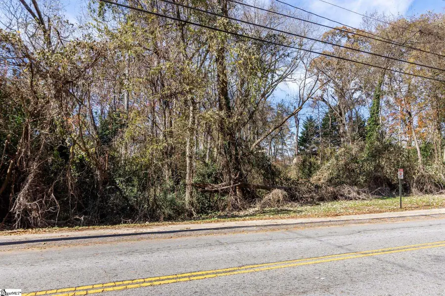 00 Elizabeth Street, Clinton, SC 29325 - Image #3