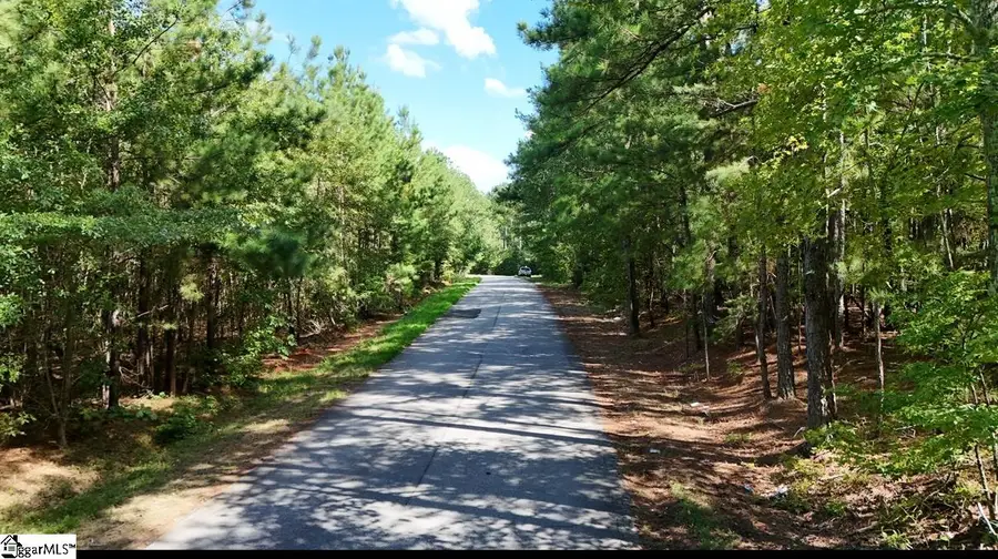 0 Neighbors Road, Clinton, SC 29325 - Image #2