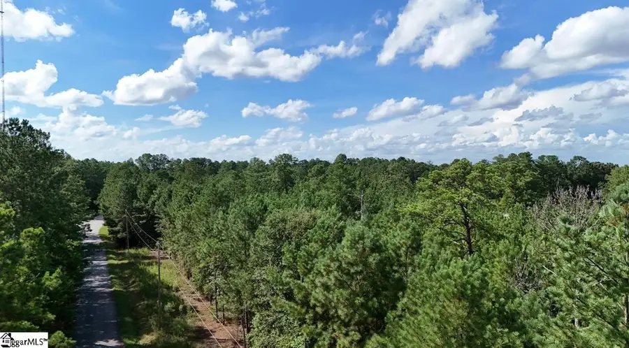 0 Neighbors Road, Clinton, SC 29325 - Image #3