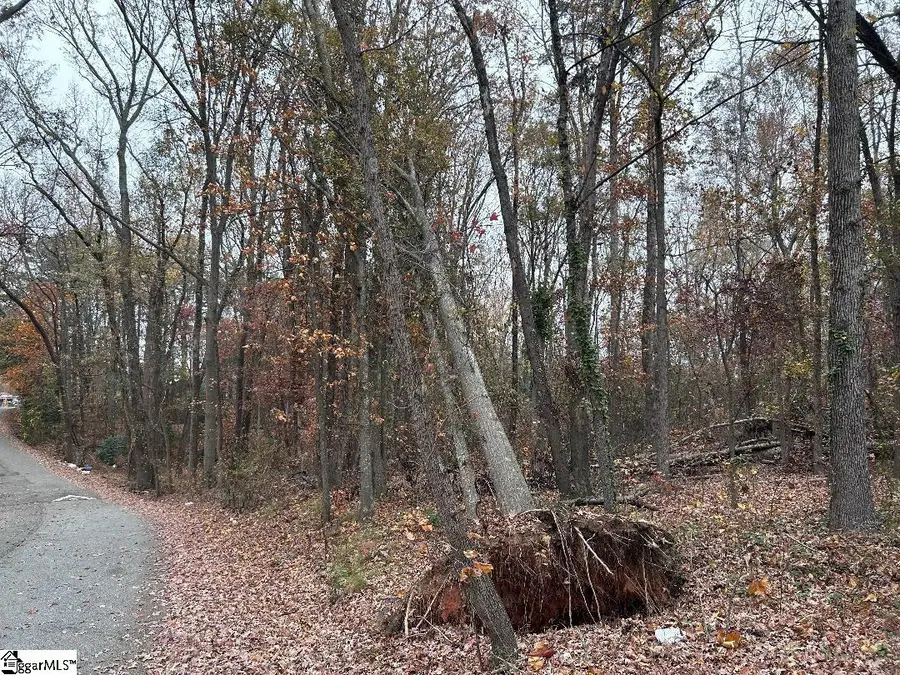 11 Pleasant Grove Drive, Greenville, SC 29611 - Image #2