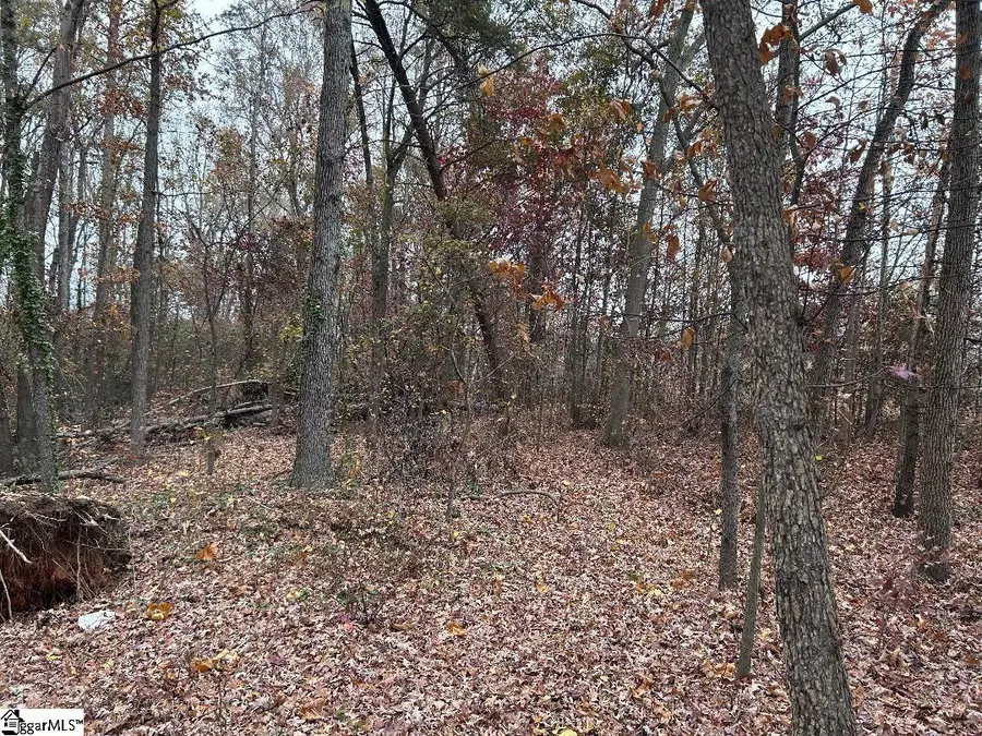 11 Pleasant Grove Drive, Greenville, SC 29611 - Image #3