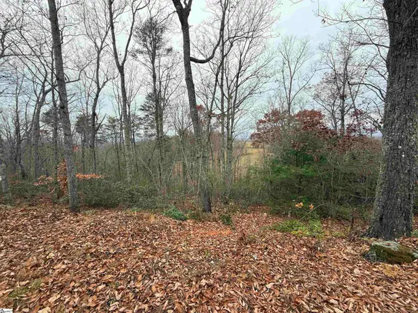 1130 Packs Mountain Ridge Road, Taylors, SC 29687