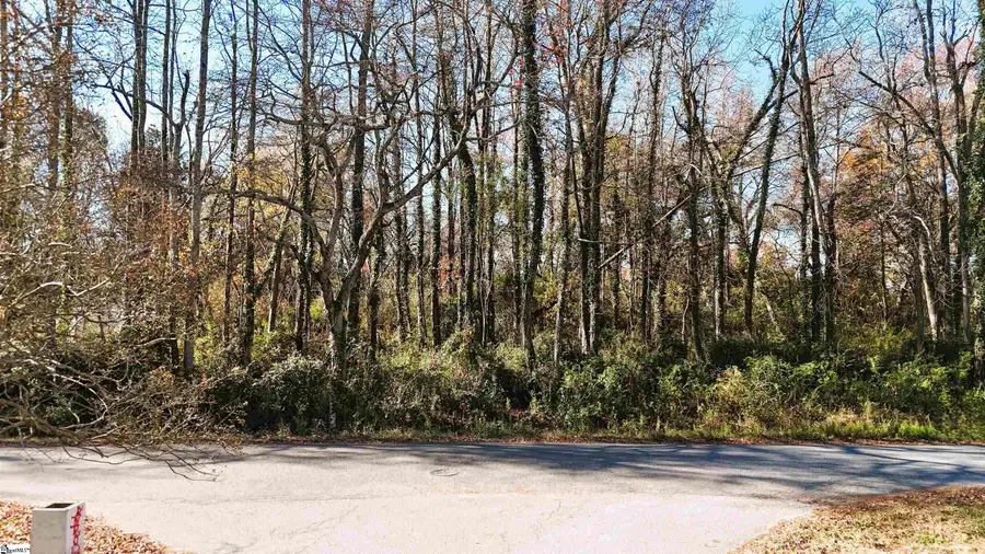 0000 Betsy Drive #Lot 2, Woodruff, SC 29388 - Image #3