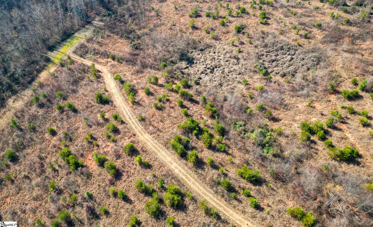 0 Skyland Drive, Greenville, SC 26661 - Image #1