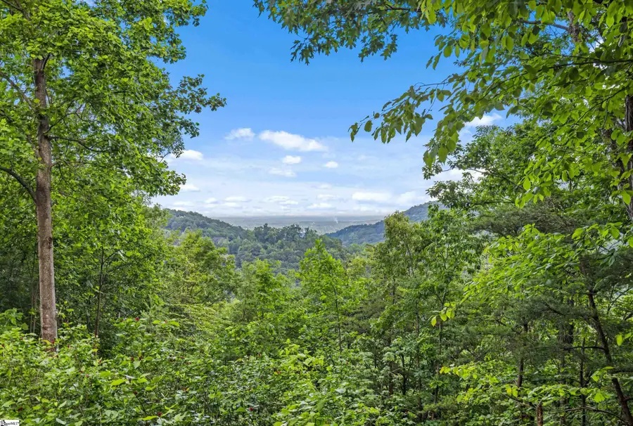 214 Craggy Rock Lane, Landrum, SC 29356 - Image #2