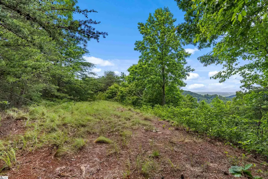 214 Craggy Rock Lane, Landrum, SC 29356 - Image #3