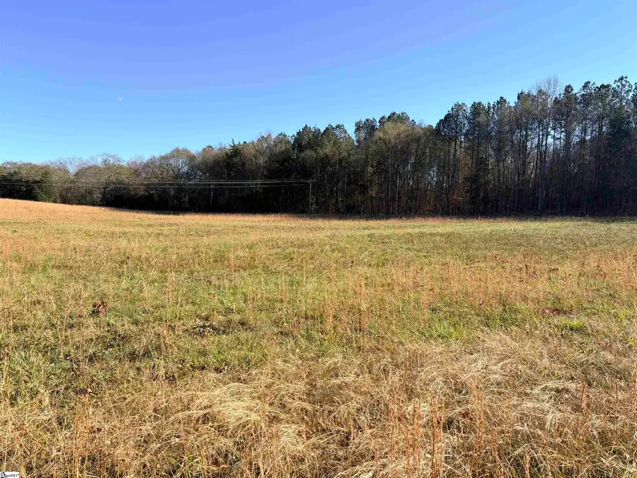 00 Highway 101 #Lot 3, Woodruff, SC 29388 - Image #3