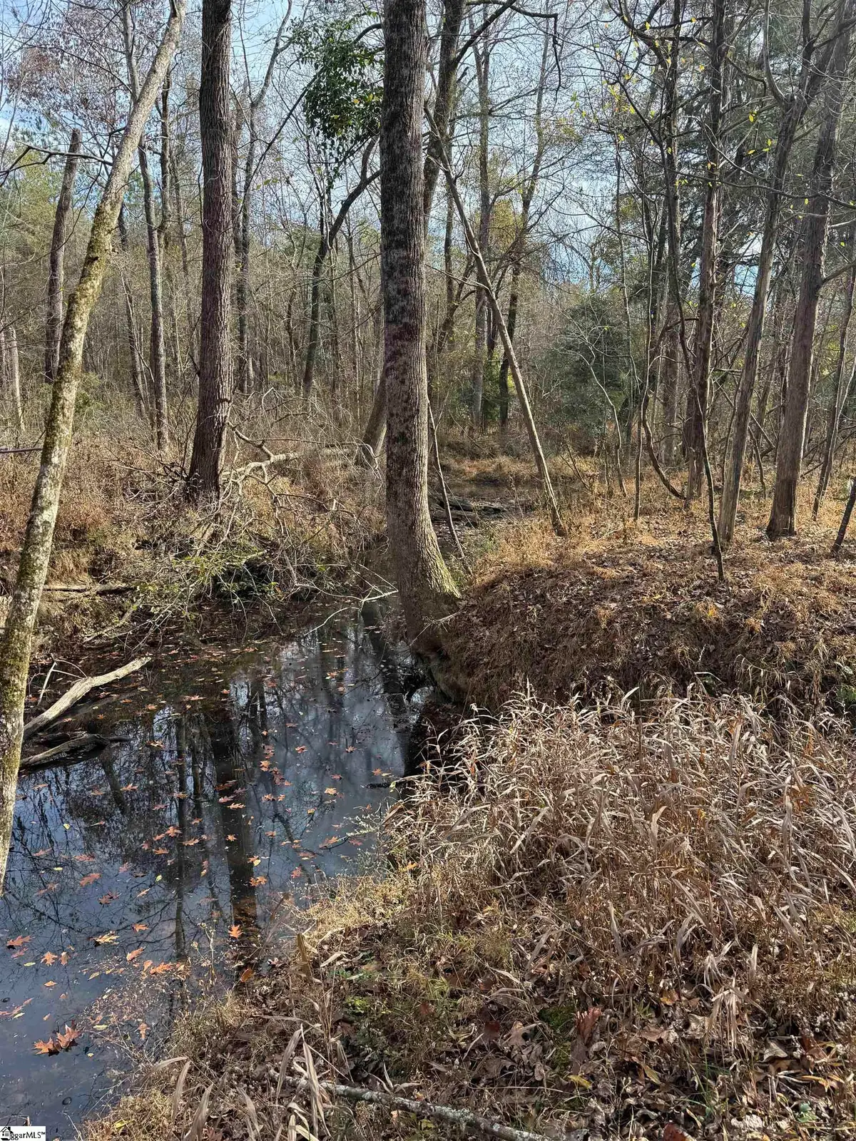 6776 Columbia Highway, Saluda, SC 29138 - Image #1