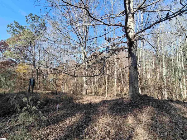 205 Spake Road, Pendleton, SC 29670