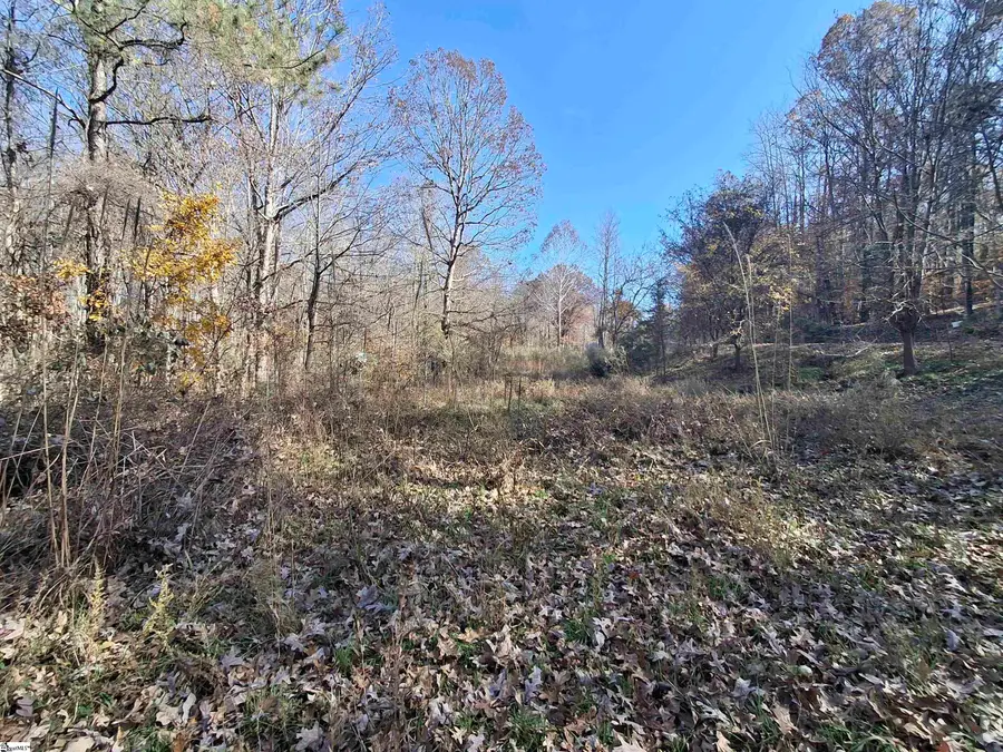 205 Spake Road, Pendleton, SC 29670 - Image #2