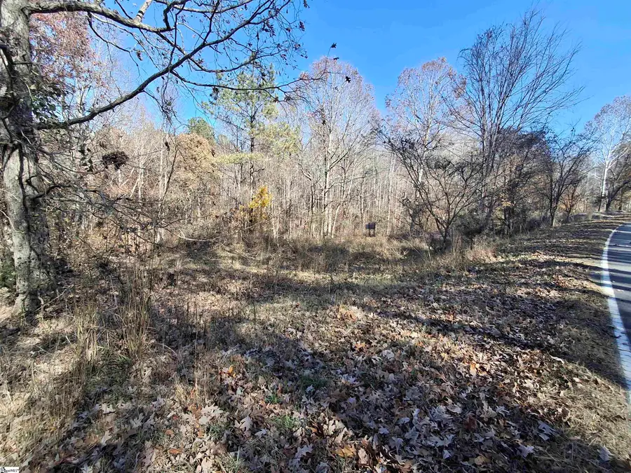 205 Spake Road, Pendleton, SC 29670 - Image #3