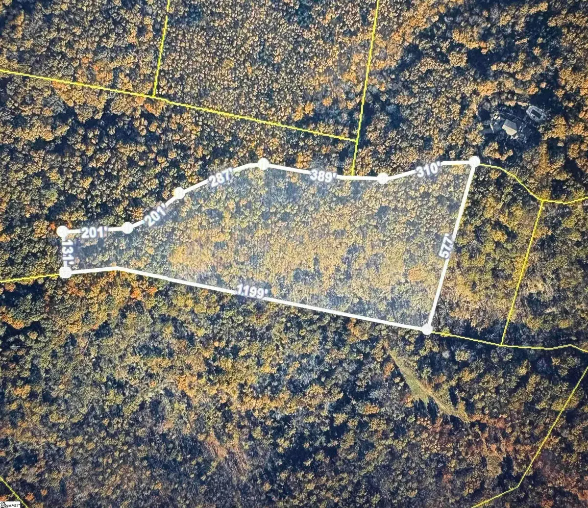 0 Highway 11, Landrum, SC 29356 - Image #1