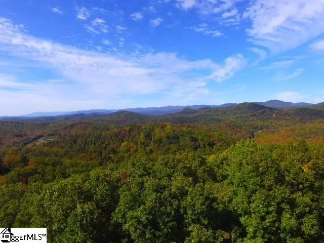 0 Highway 11, Landrum, SC 29356 - Image #3