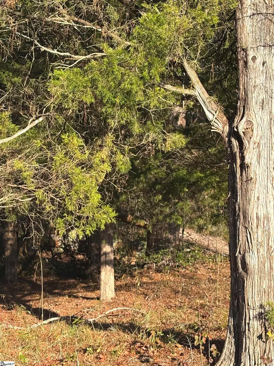 001 Fairground Road, Simpsonville, SC 29680 - Image #3