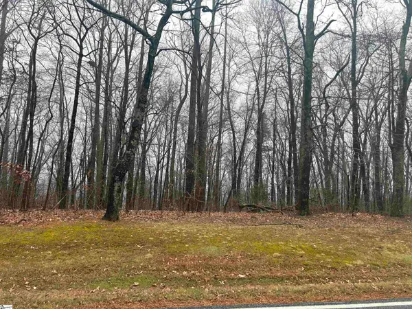 633 Plumley Summit Road, Landrum, SC 29356