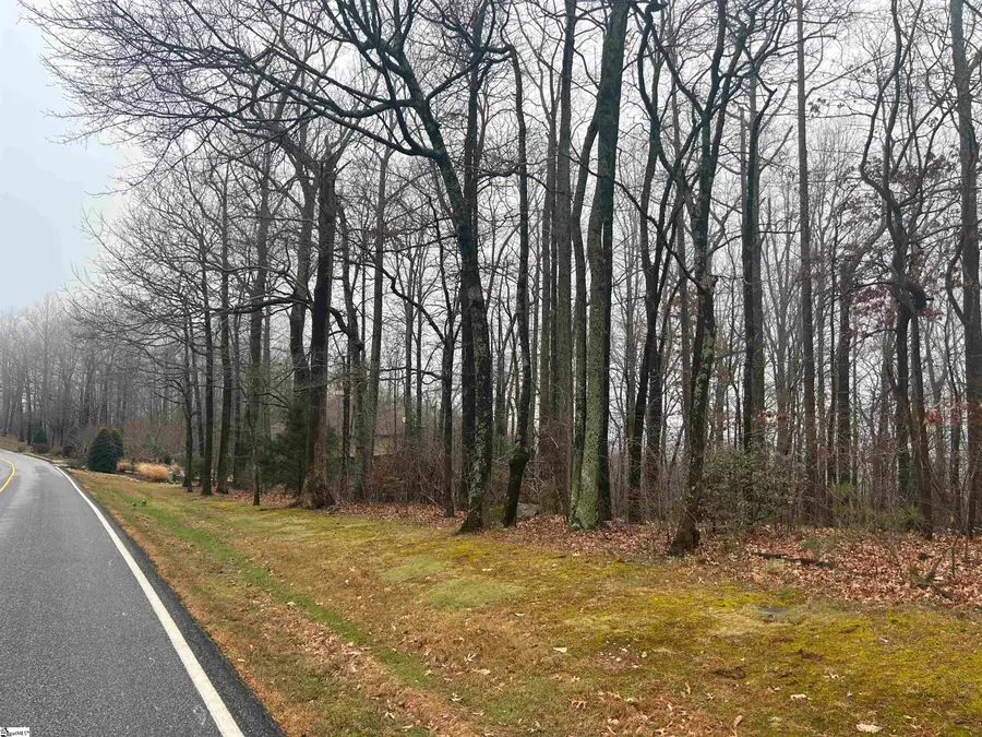 633 Plumley Summit Road, Landrum, SC 29356 - Image #2