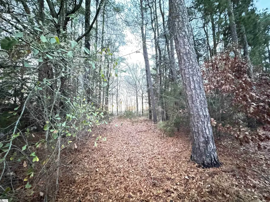 111 Hortizone Drive, Woodruff, SC 29388 - Image #2