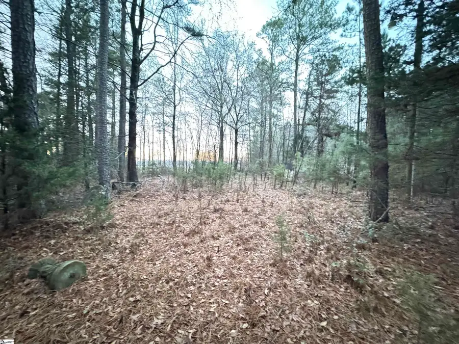 111 Hortizone Drive, Woodruff, SC 29388 - Image #3