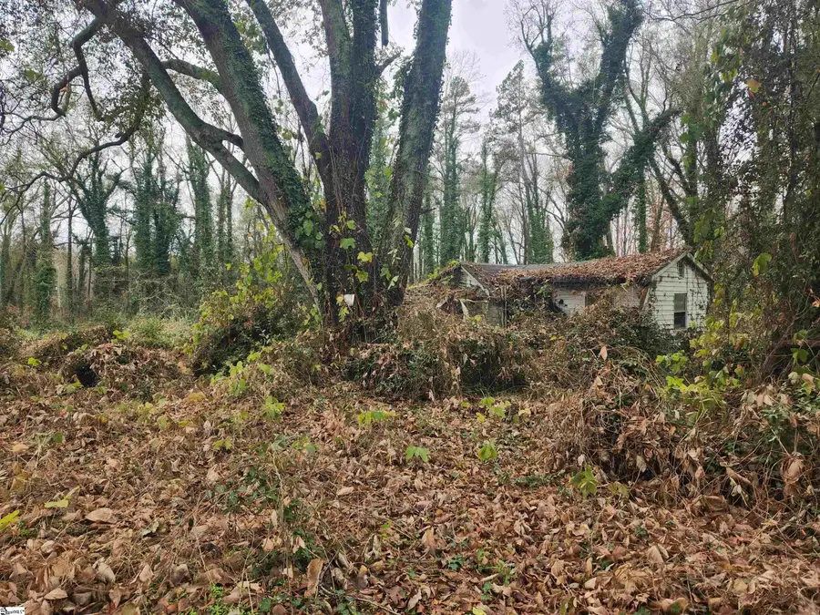 103 Jenkins Place, Clemson, SC 29631 - Image #3