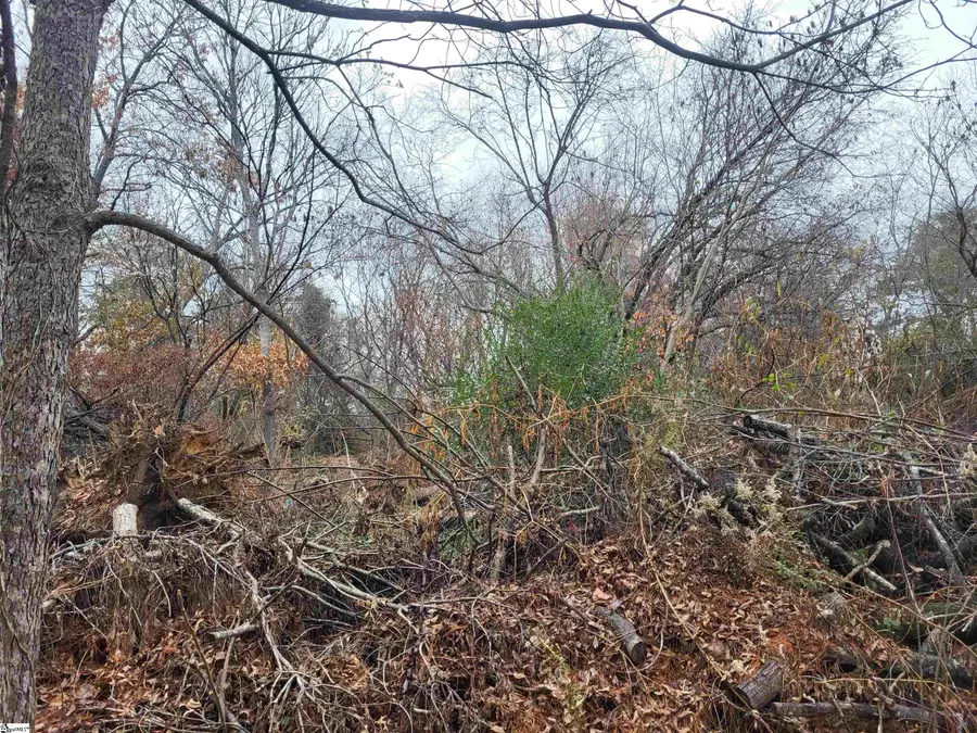 0 Pinecroft Drive, Taylors, SC 29687 - Image #3