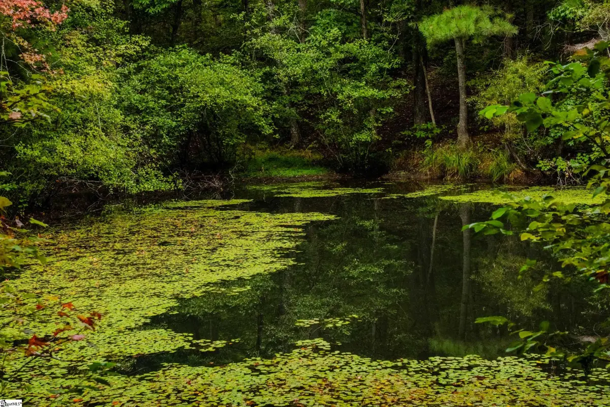 S. Packs Mtn Road, Taylors, SC 29687 - Image #1