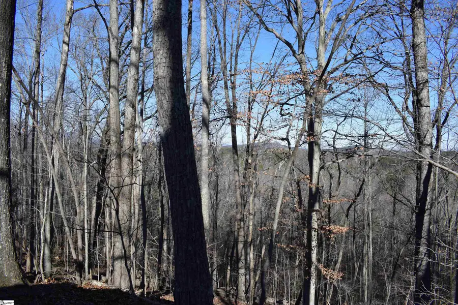 228 Wildwood Lane, Columbus, NC 28722 - #3