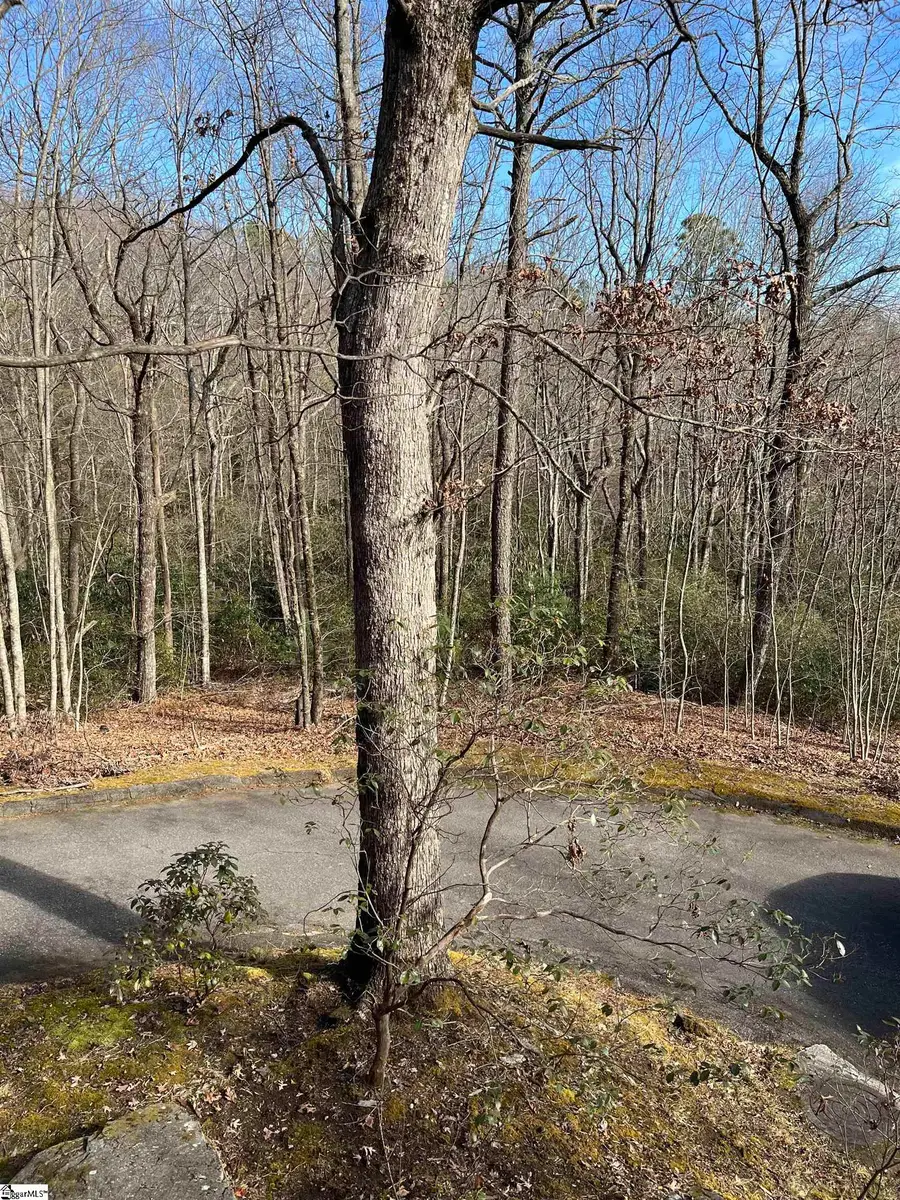 TBD Woodbine Road, Cleveland, SC 29635 - Image #2