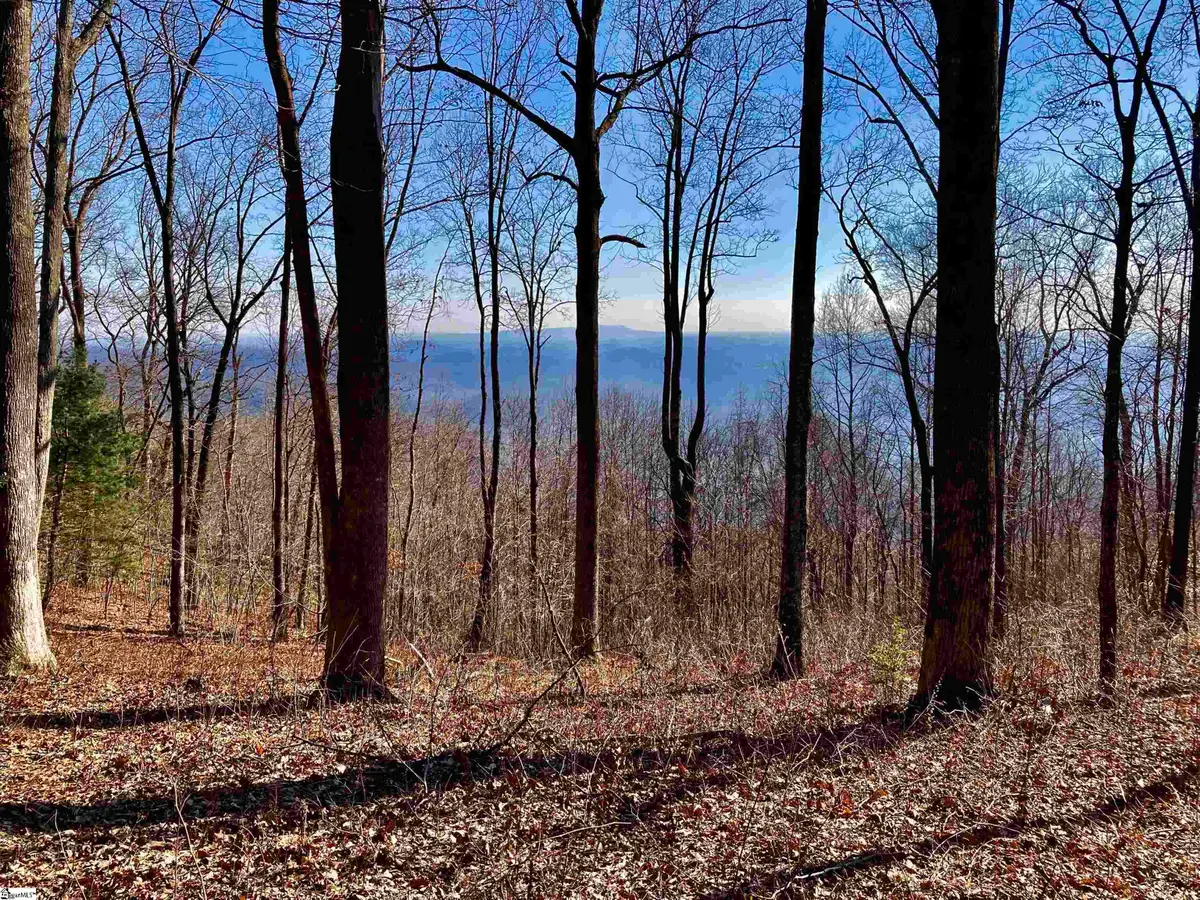 1000 Mountain Summit Road, Travelers Rest, SC 29690 - Image #1