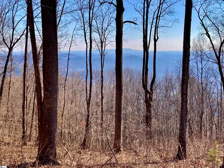 1000 Mountain Summit Road, Travelers Rest, SC 29690 - Image #3