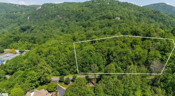 33 & 34 Raptor Way, Landrum, SC 29635-6