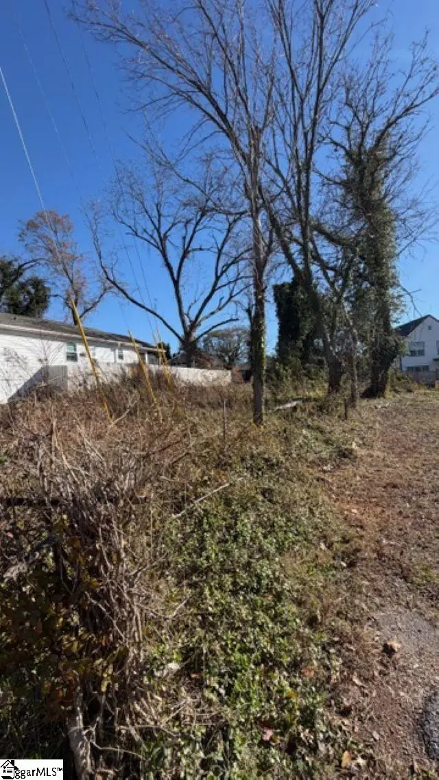 207 Maloy Street, Greenville, SC 29601 - Image #1